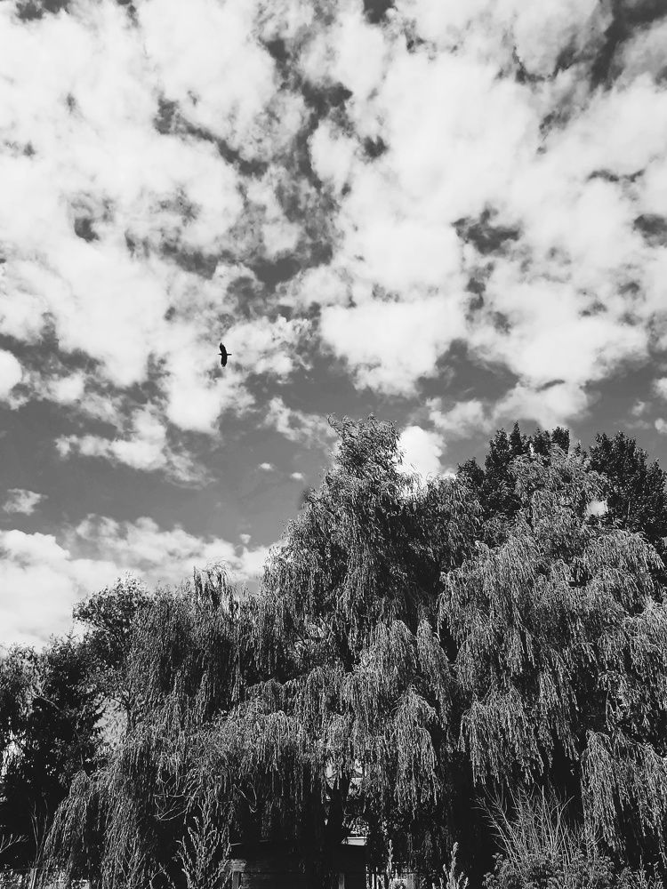 Фотография автора Виктория Мешкова