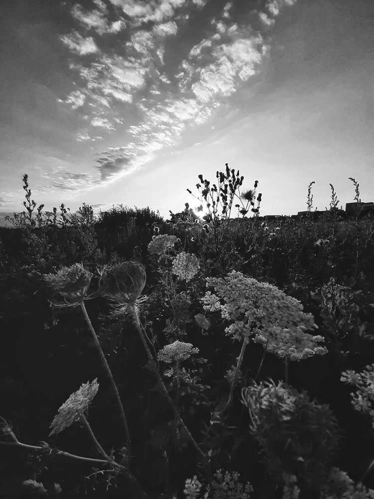 Фотография автора Виктория Мешкова