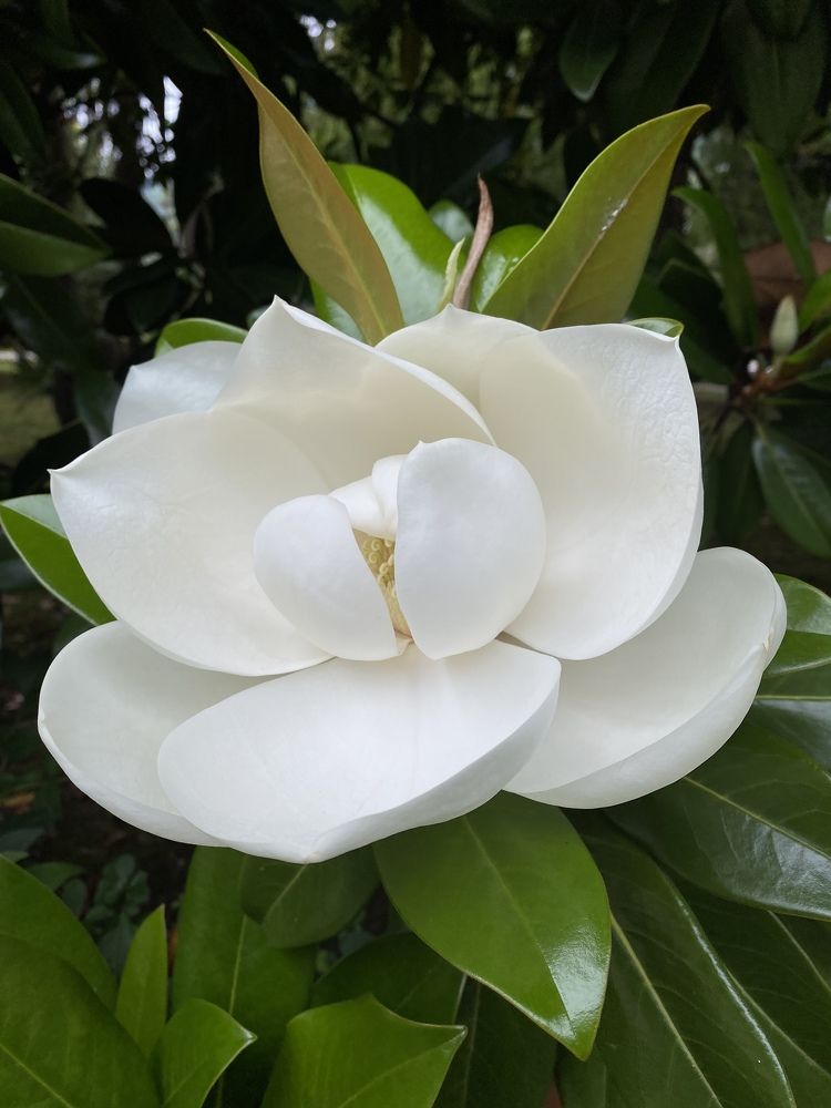 Photograph by Светлана Канаева