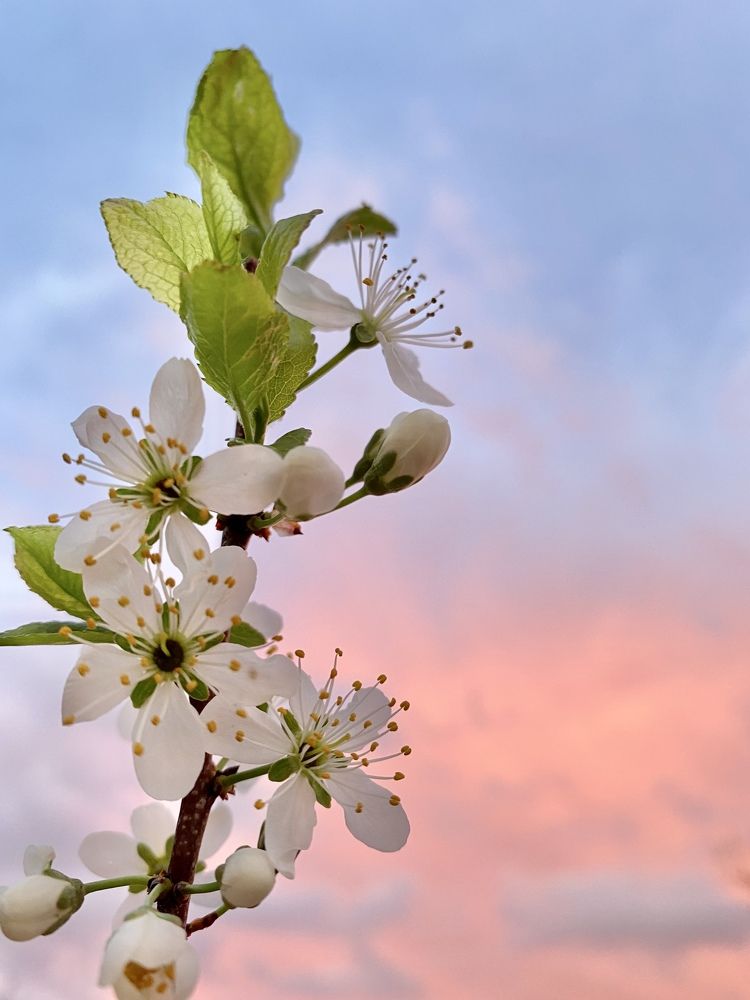 Photograph by Светлана Канаева