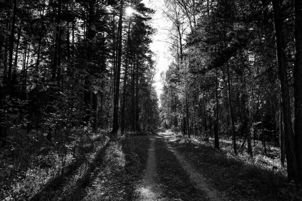 Фотография автора Владимир Шалимов