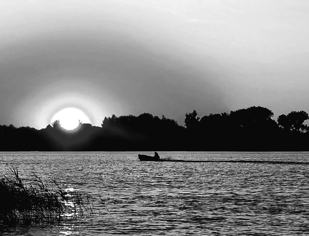 Photograph by Ирина Синягина