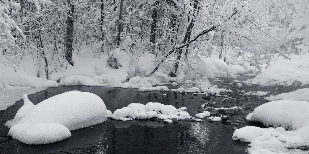 Photograph by Олег Тетерин