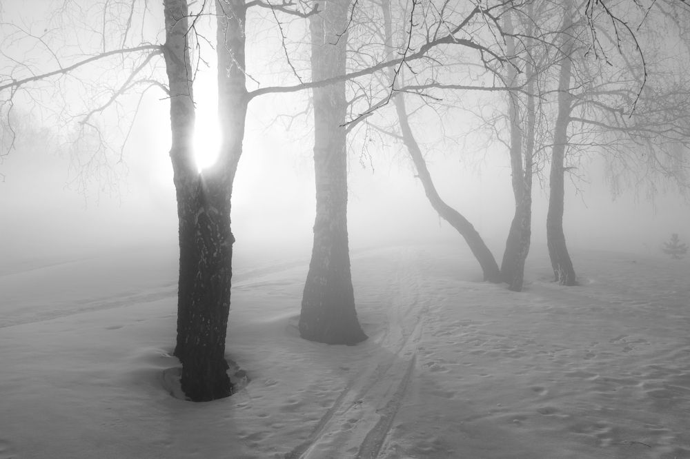 Фотография автора Кухта Мария