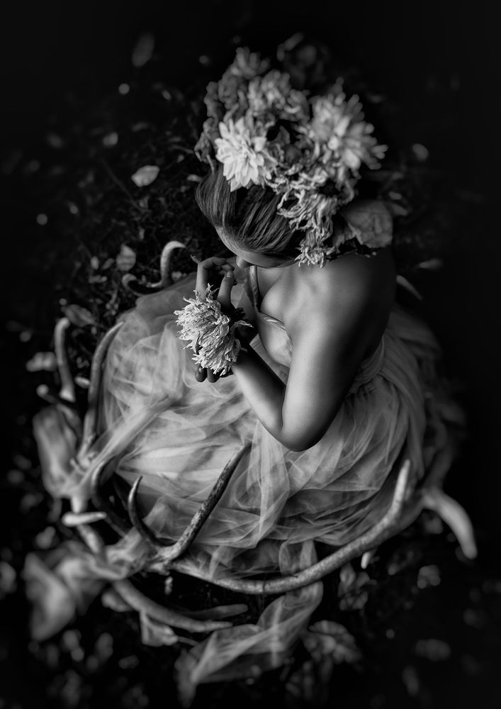 Photograph by Shelley Harvey