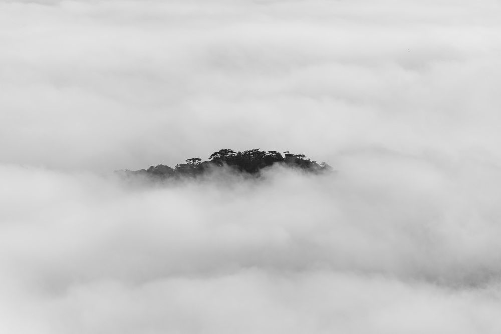 Photograph by Будаква Сергей