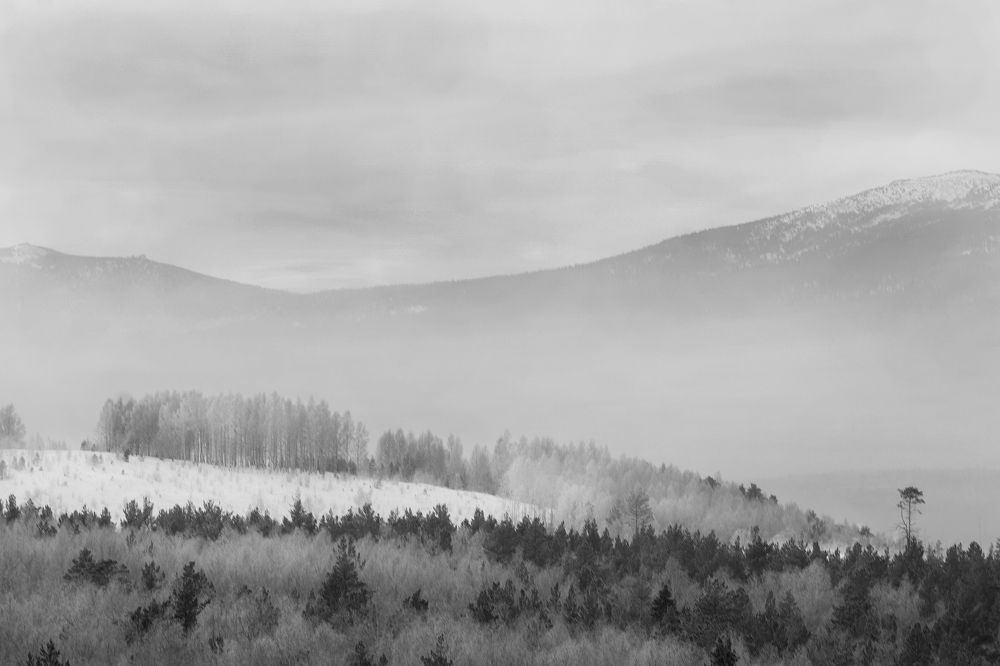 Фотография автора Елена Самофалова