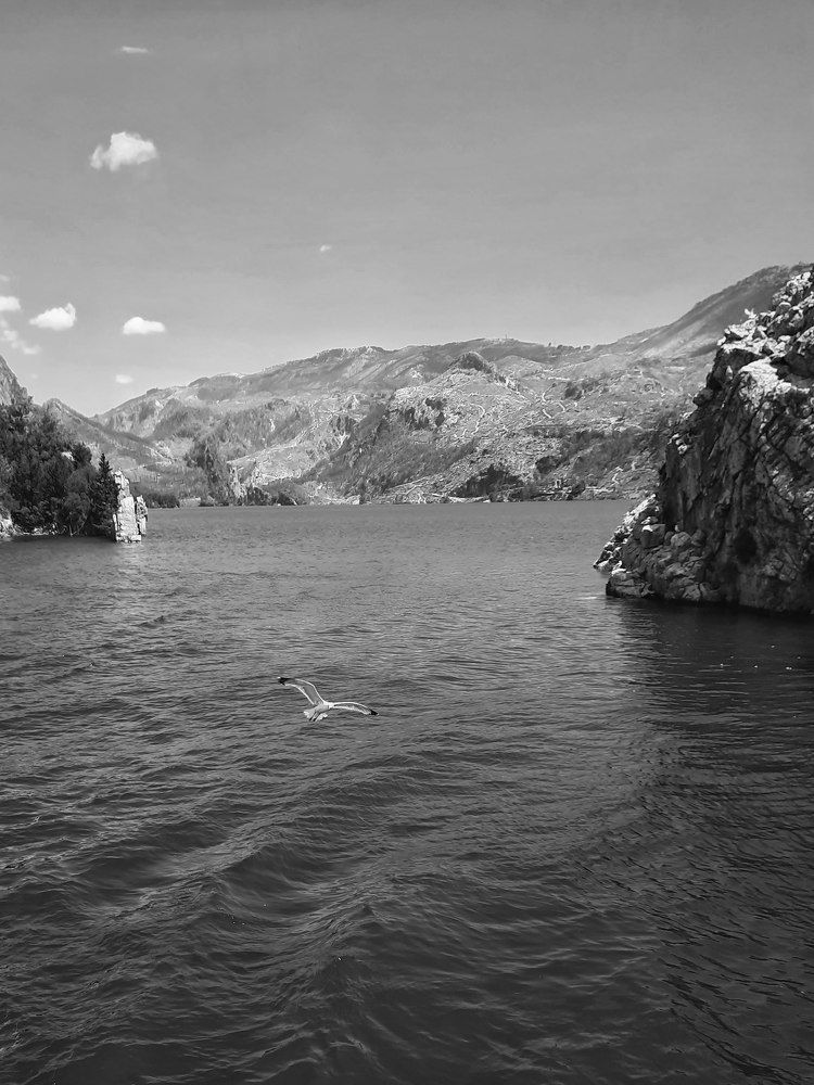 Photograph by Любовь Войтишина