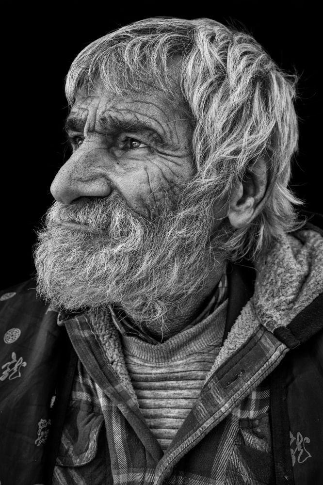 Photograph by Morteza