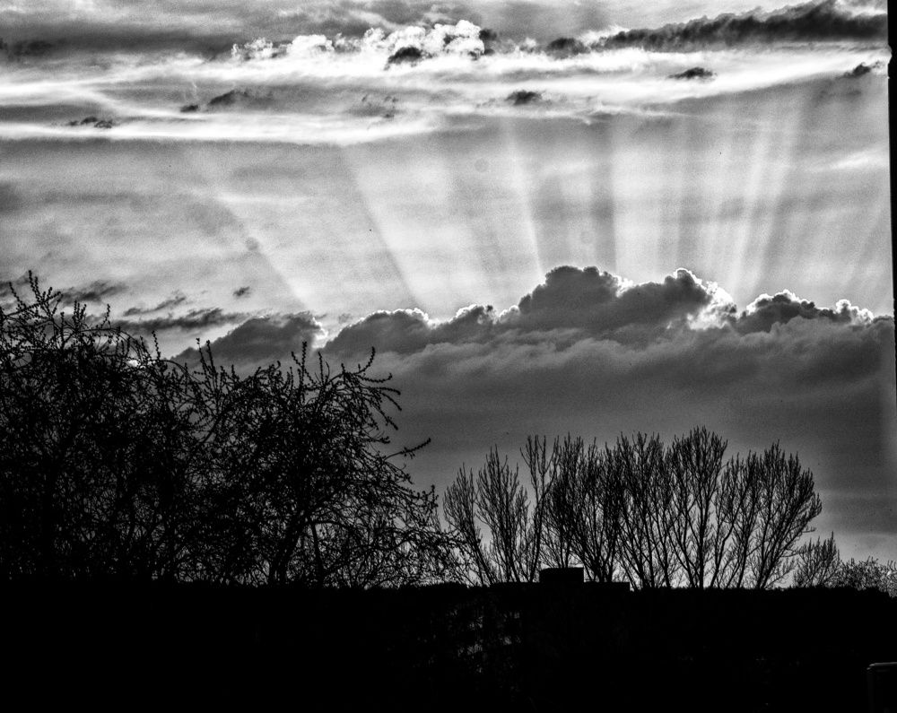 Photograph by Максим Ушенин