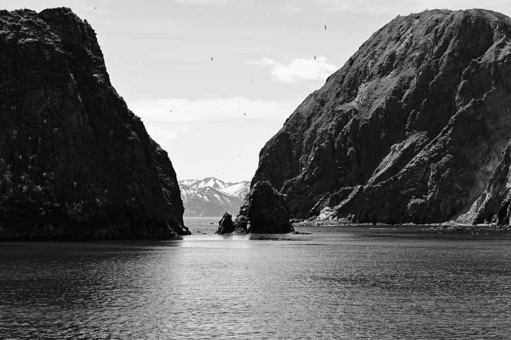 Фотография автора Ирина Копылова