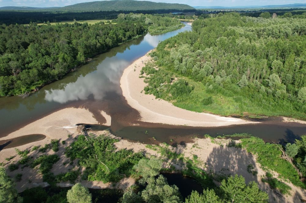 Photograph by Виталий