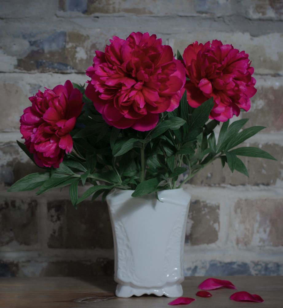 Photograph by Соколова Ирина