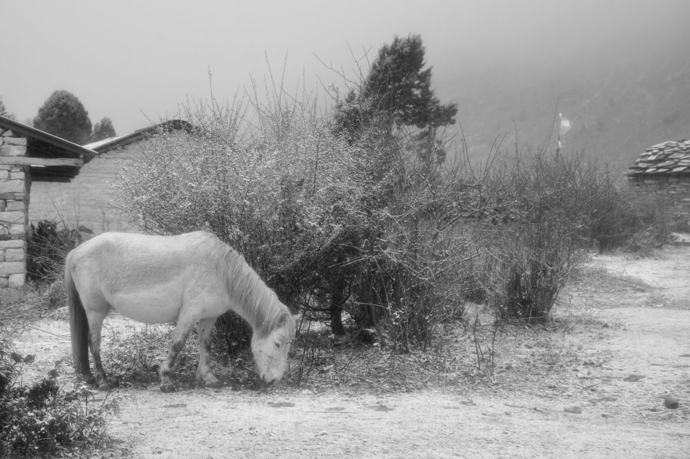 Photograph by Анатолий Орлов