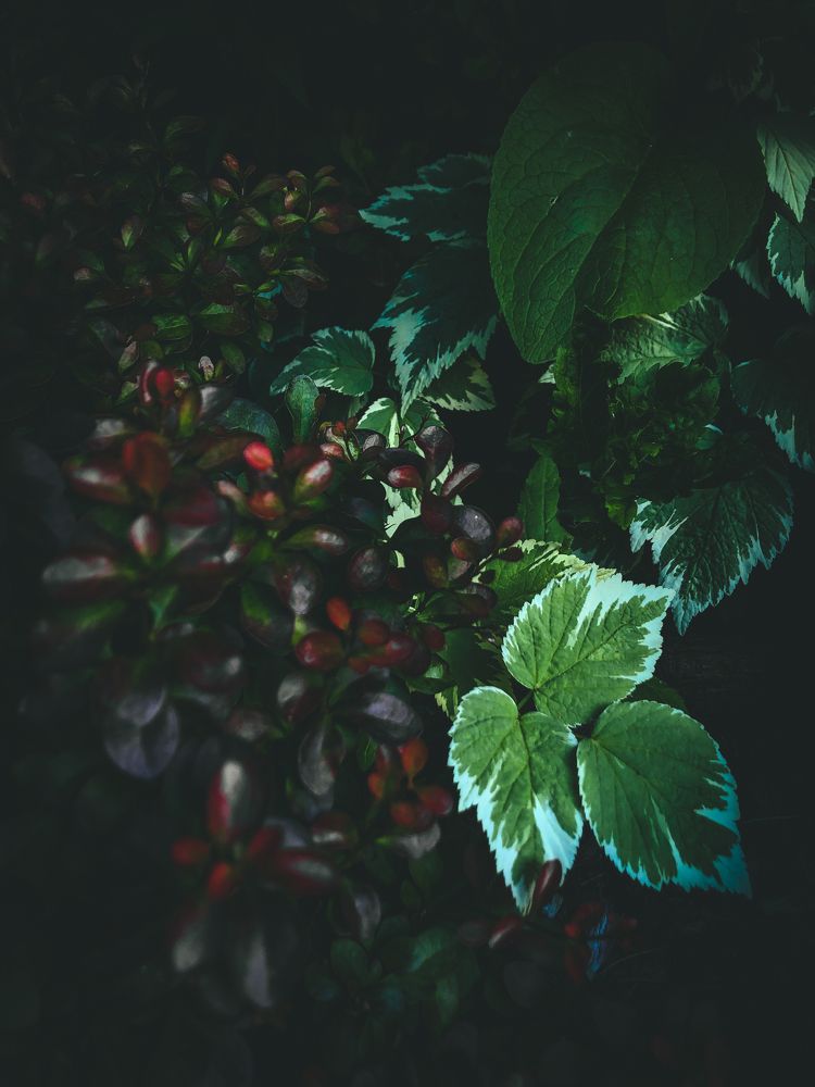 Photograph by Ирина Панюк