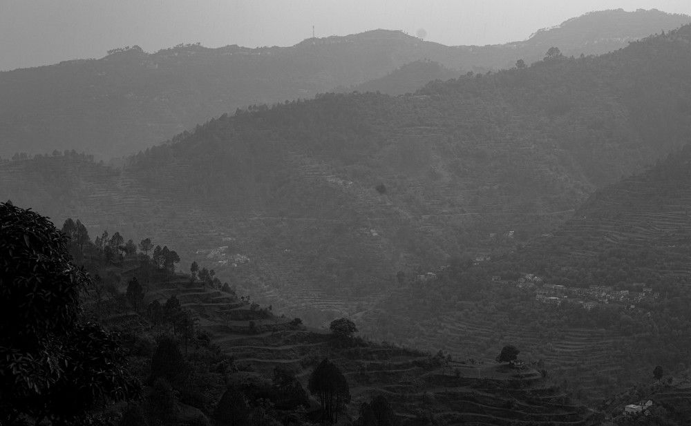 Photograph by RENU SHARMA