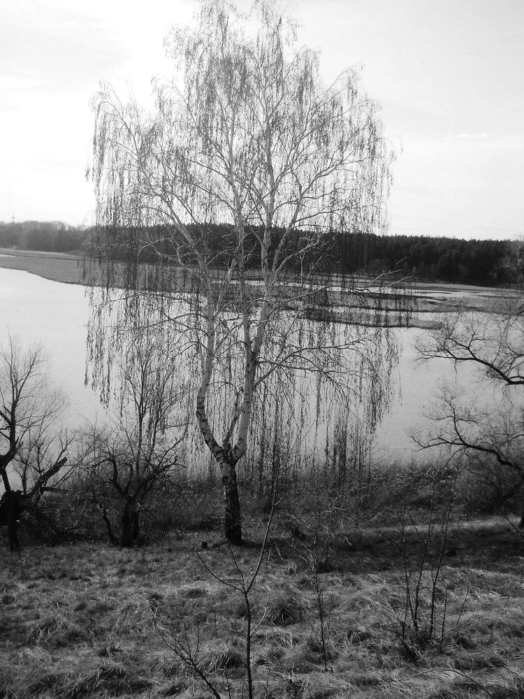 Photo #7830203