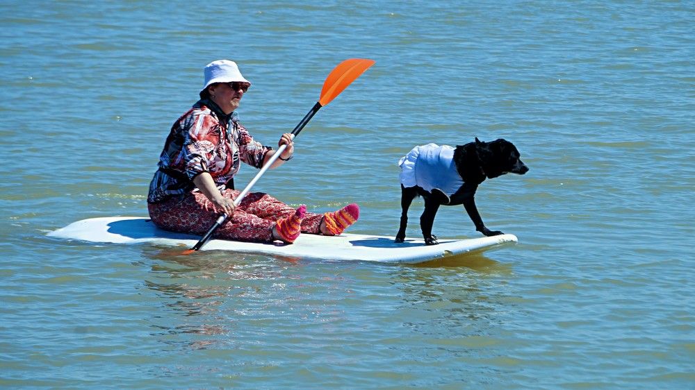 Photograph by Олег Коневских