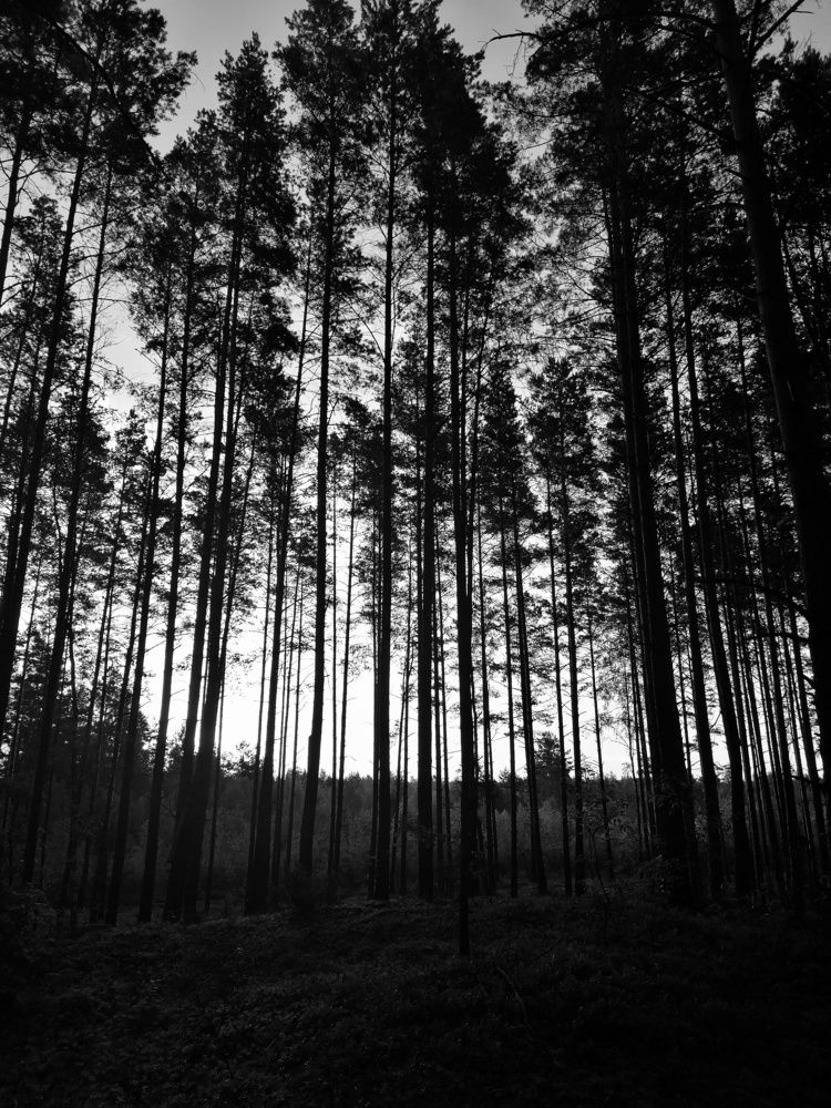 Фотография автора Ольга