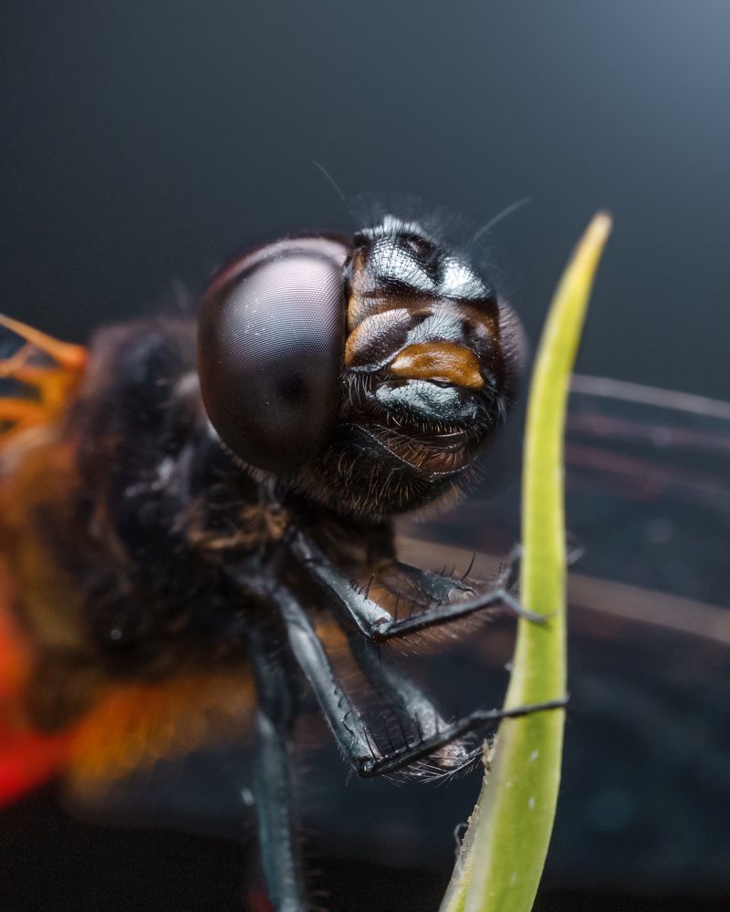 Photograph by Sahil Muhammed