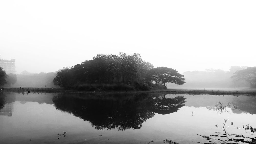 A foggy morning