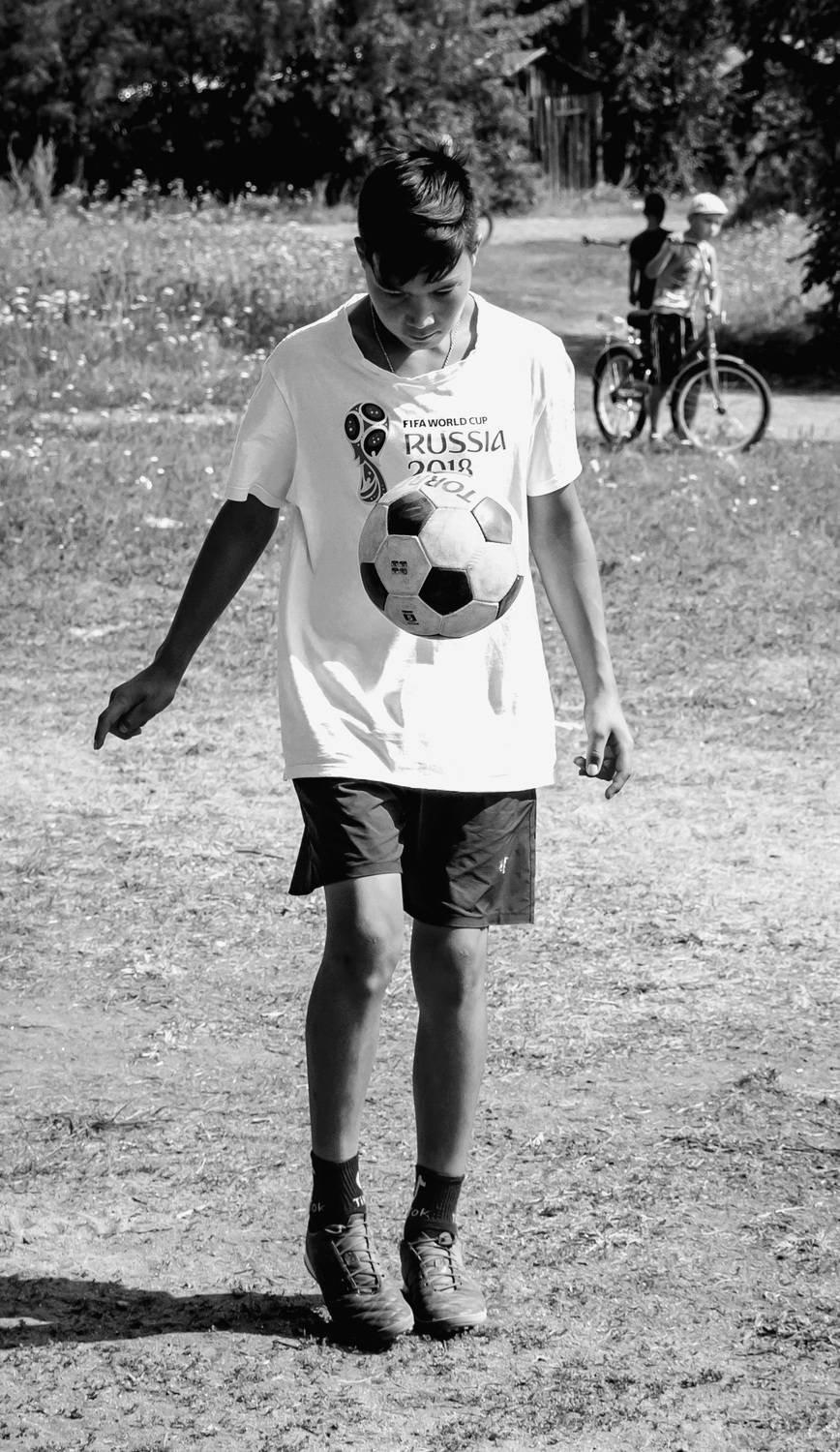 Photo #7830545