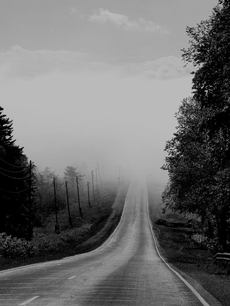 Photograph by Анастасия Терехова