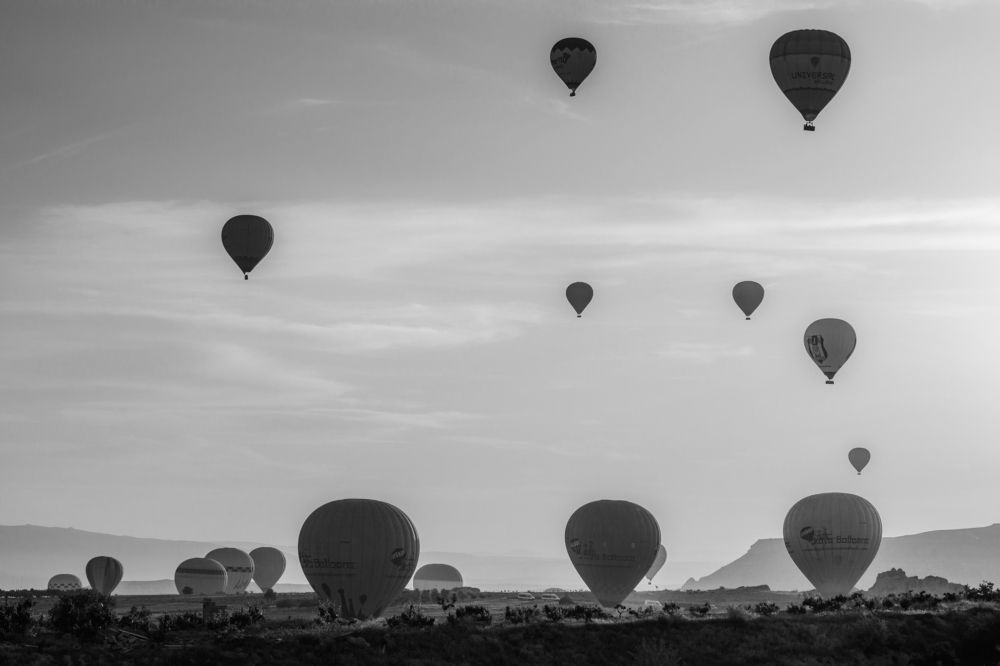 Photograph by Виталий Потапенок