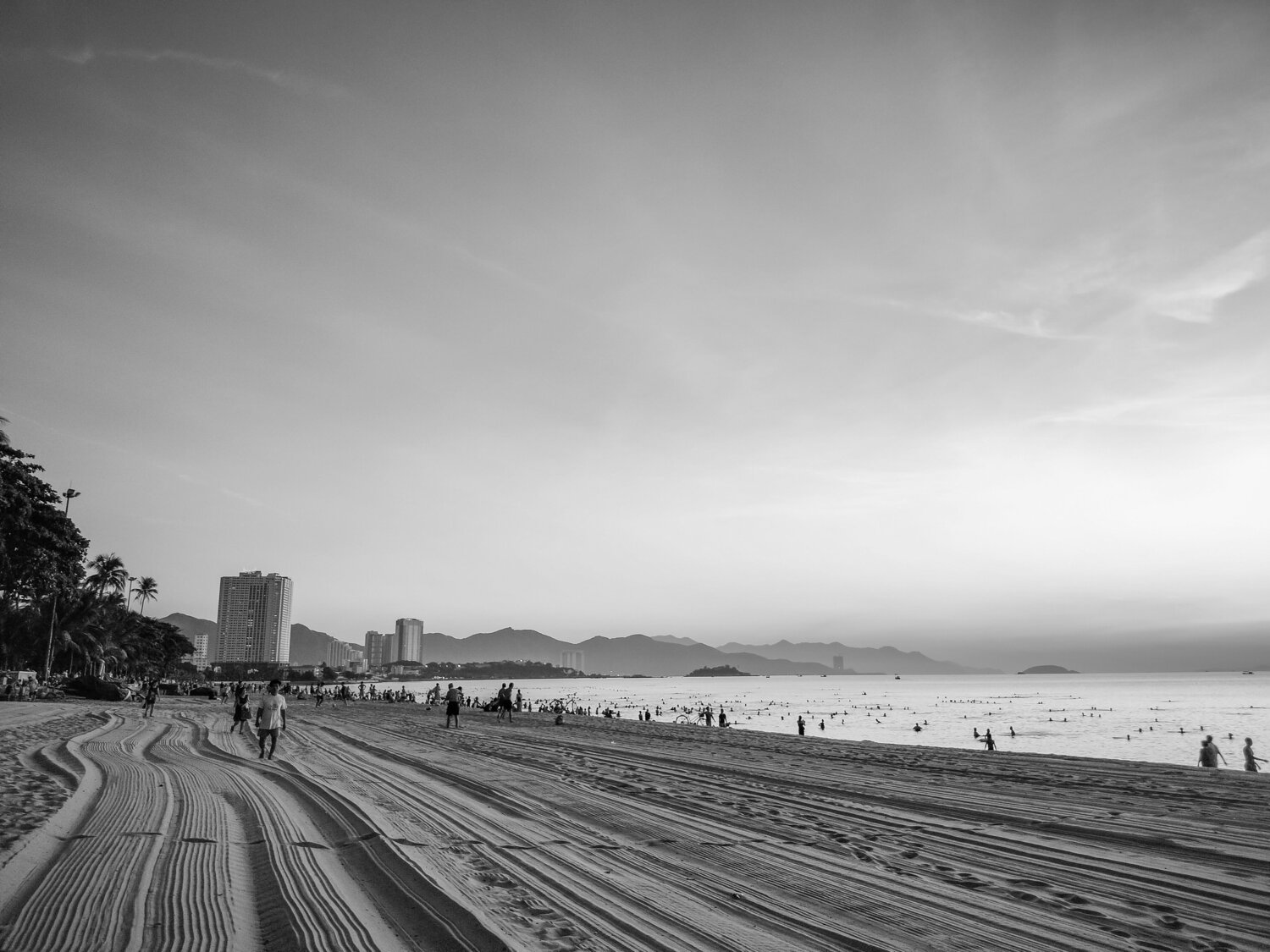 Photo #7830671