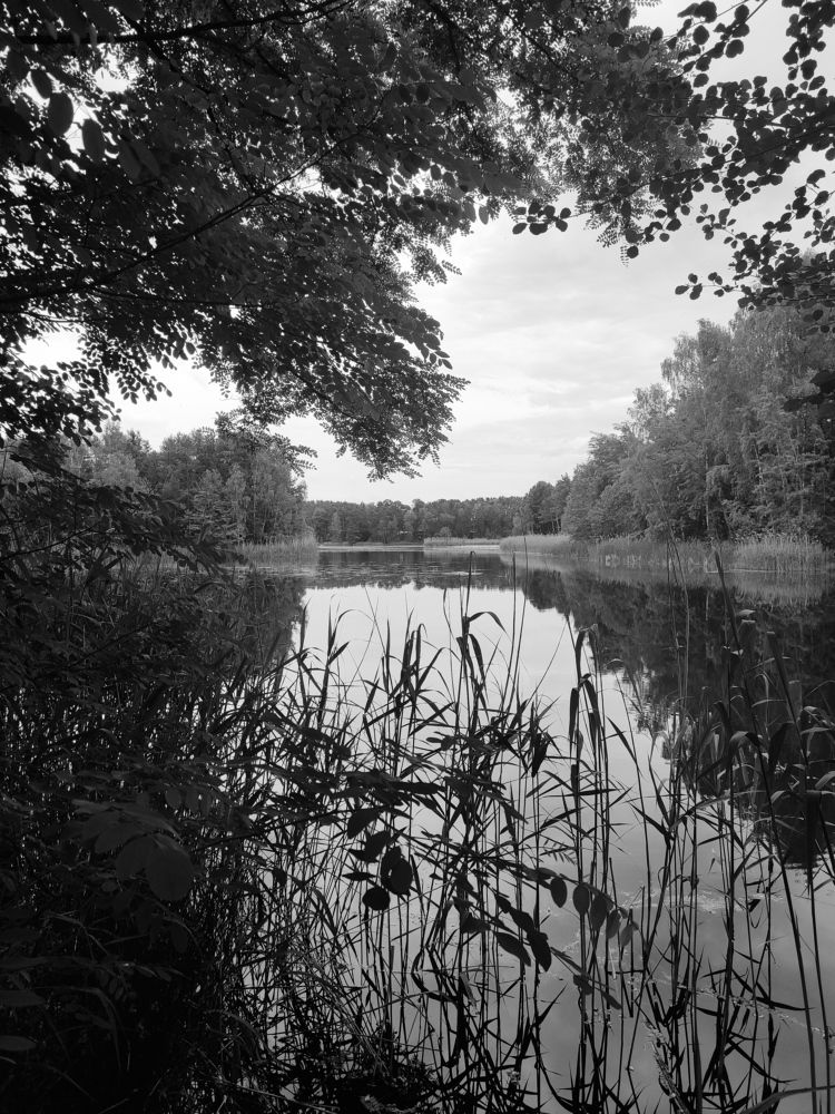 Photo #7830678