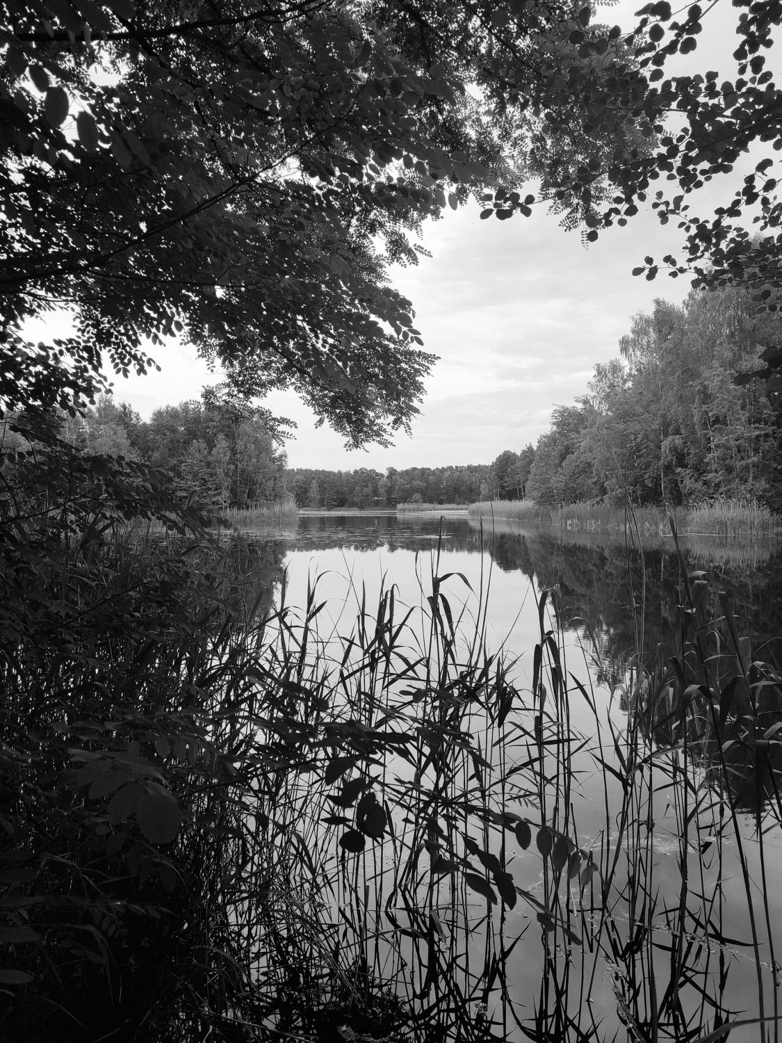 Photo #7830678
