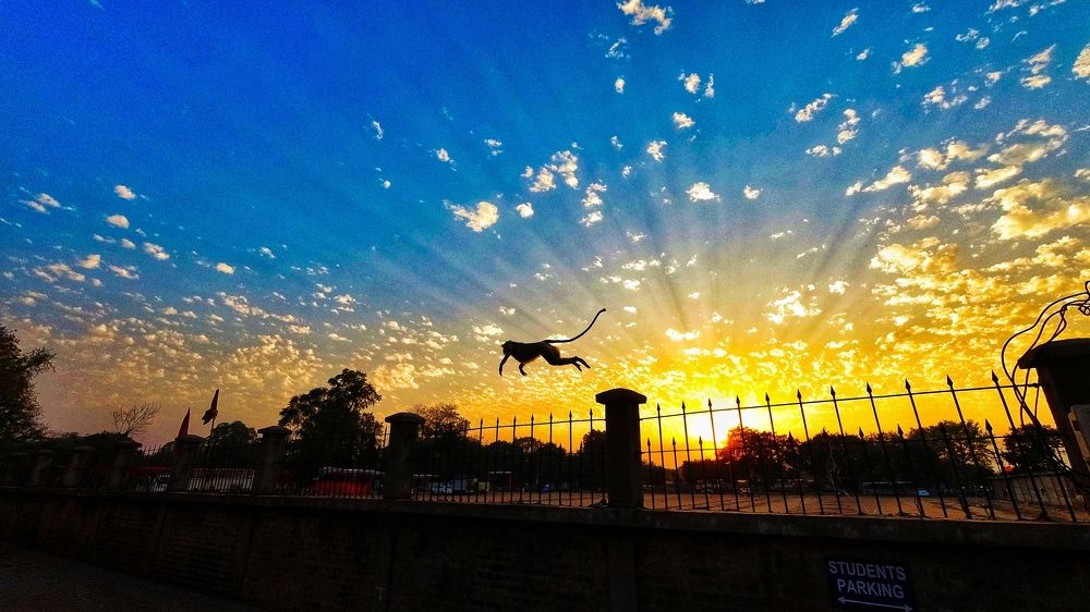 Photograph by Charlie Patel