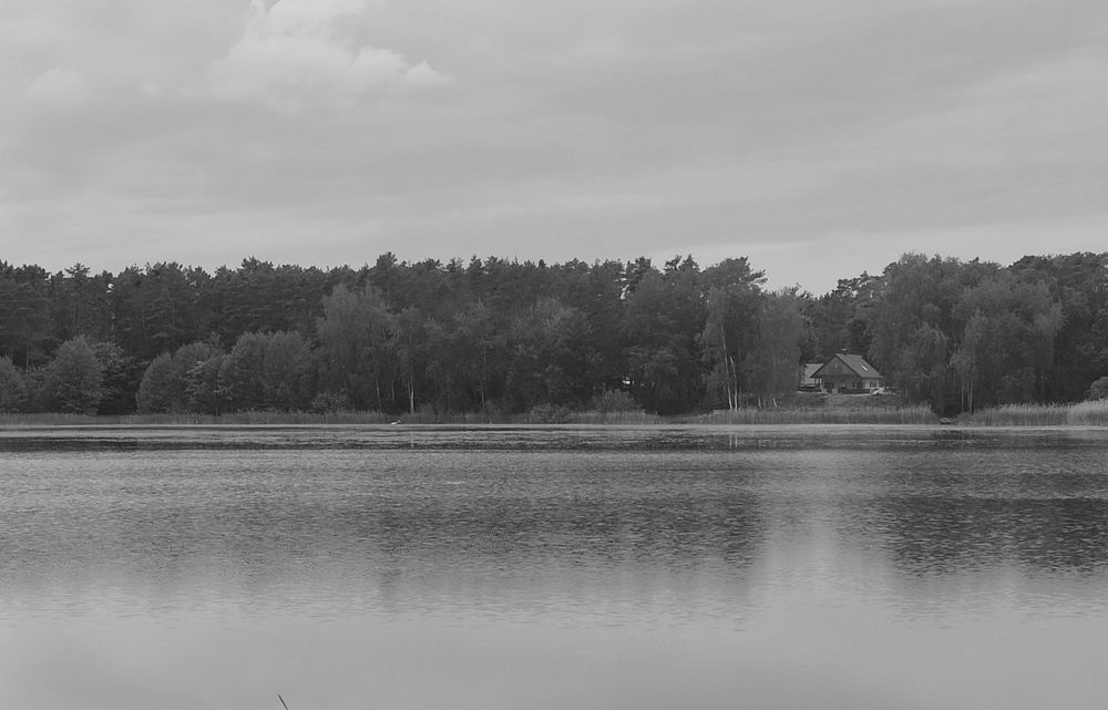 Photograph by Алёна