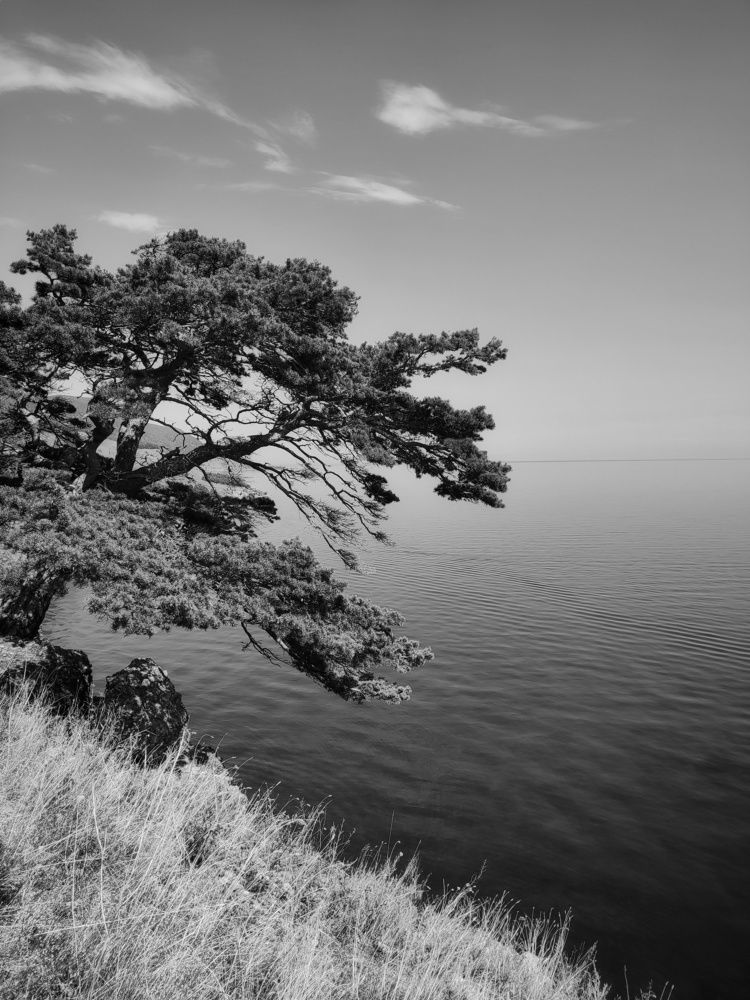 Photograph by Дмитрий Ромашов