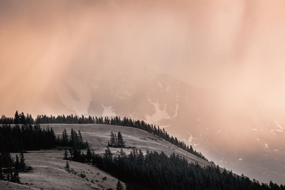Photograph by Антонина Белозерова