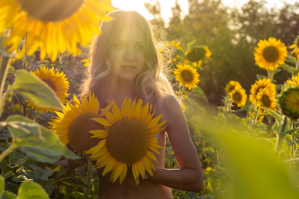 Young girl in the sunflower
