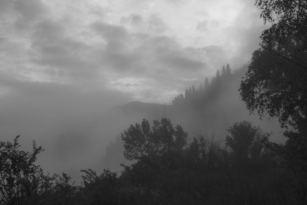 Photograph by Лия Яковлева