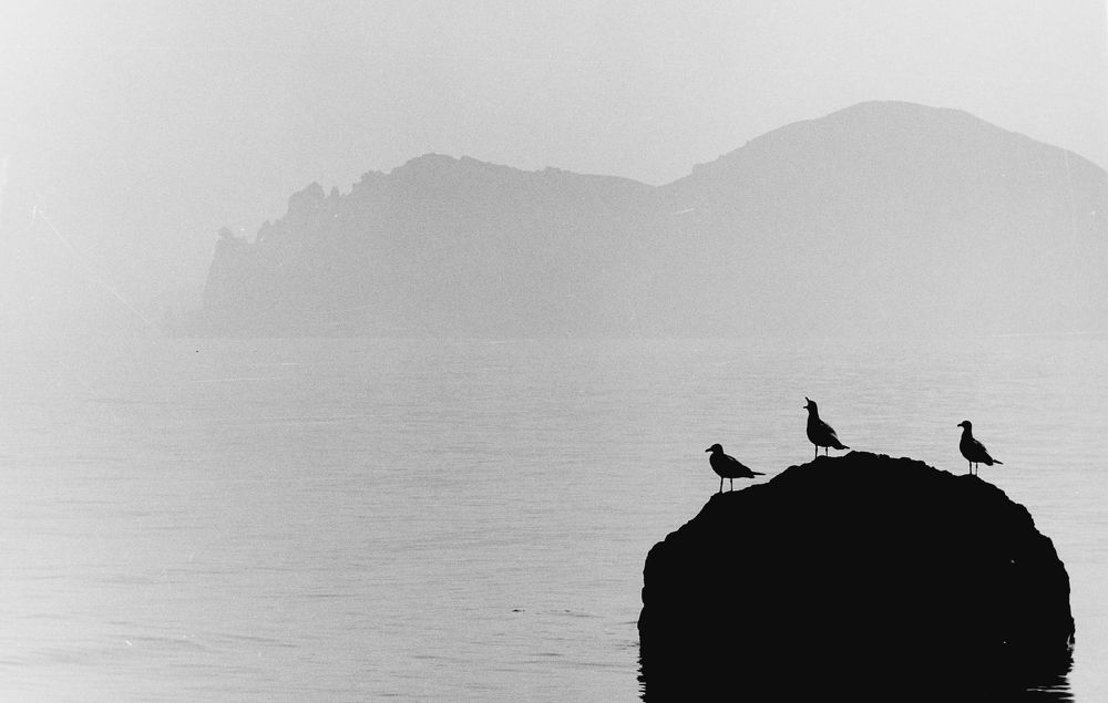 Photograph by Андрей Серый