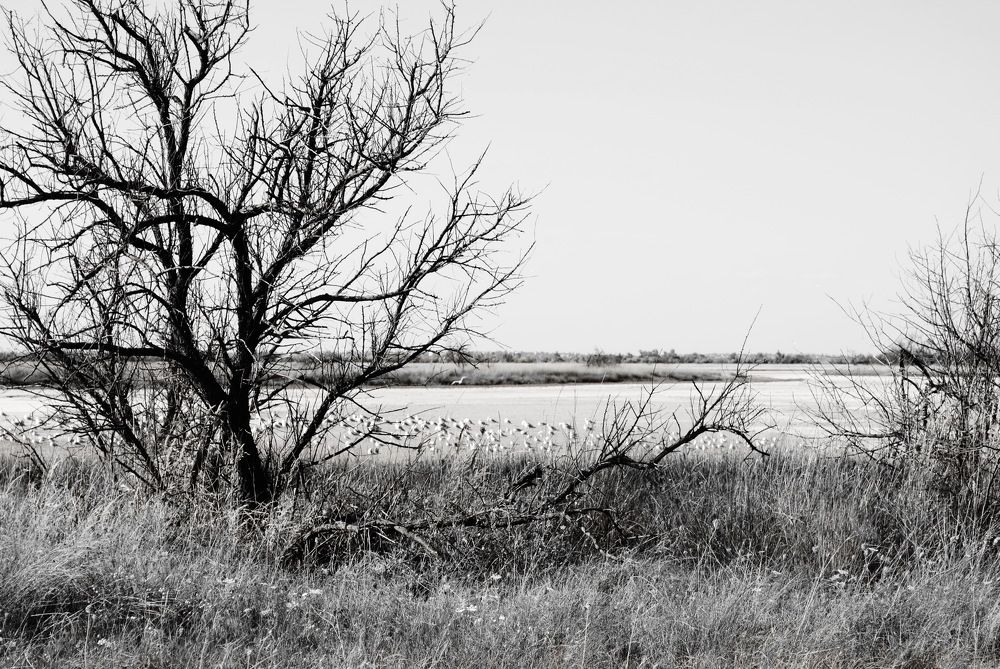 Photograph by Инна Сечко