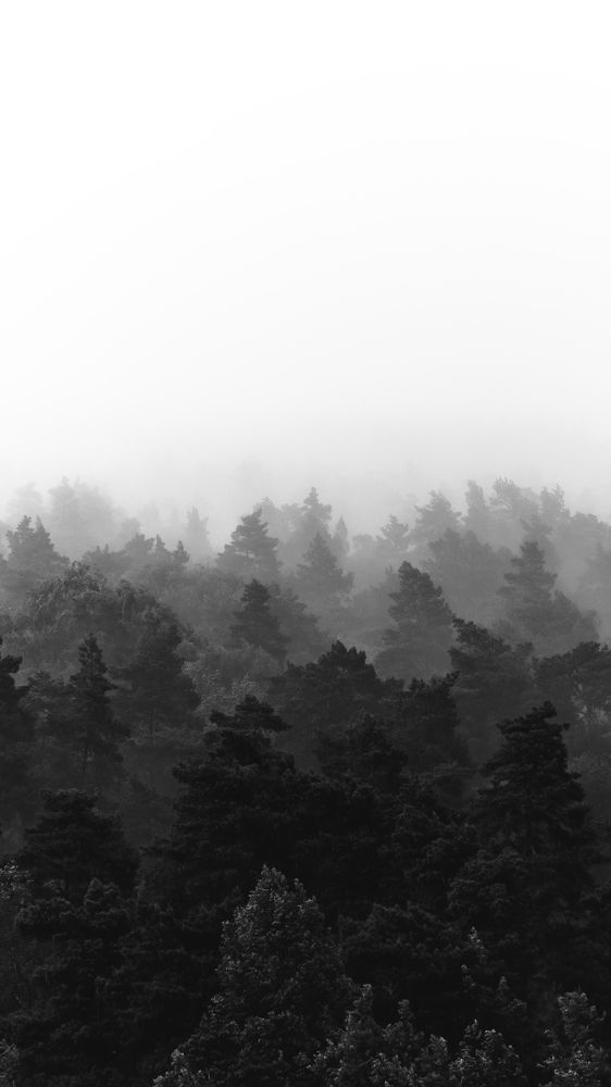 Photograph by Илья Пономарев