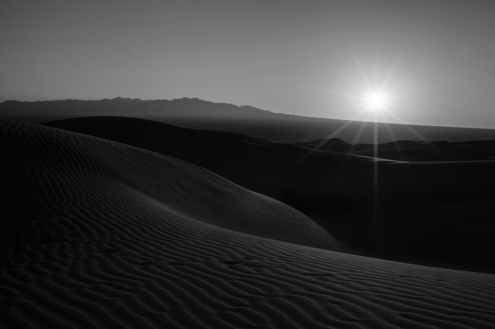 Фотография автора Ershad Mazloomi