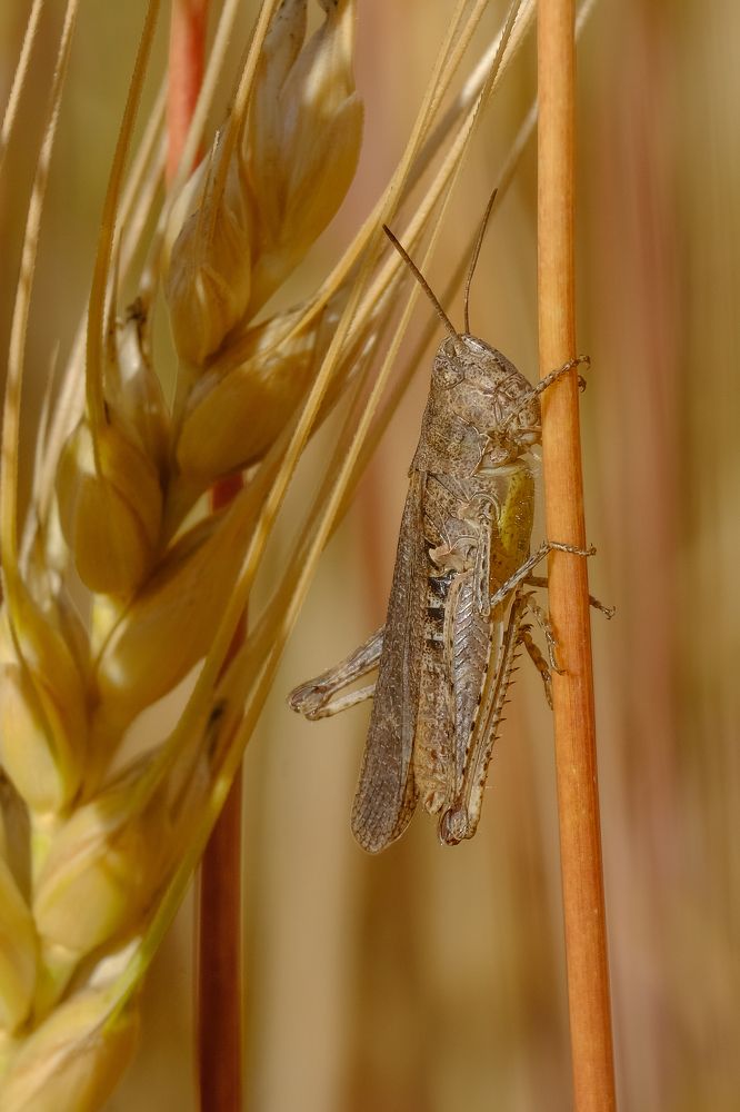 Фотография автора Александр Высоцкий