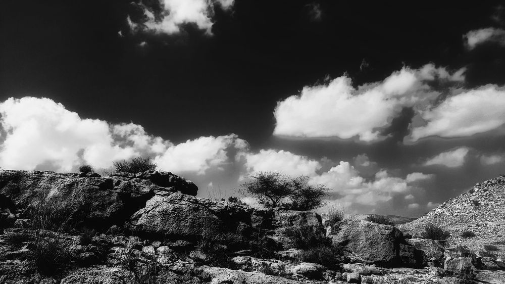 Photograph by anahita peymani