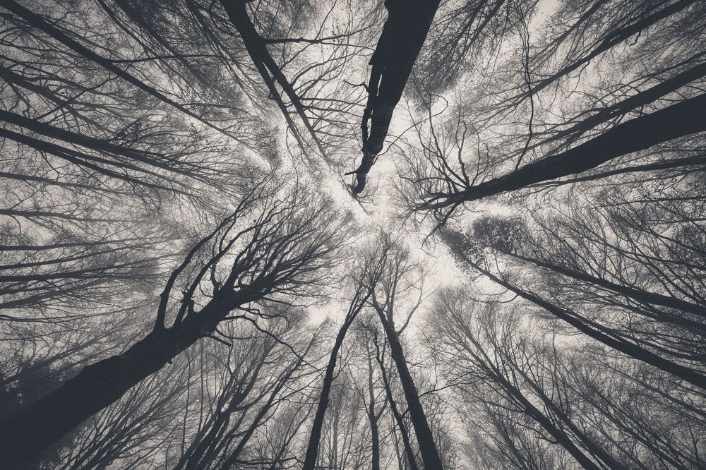 Photograph by Антон Ростовский