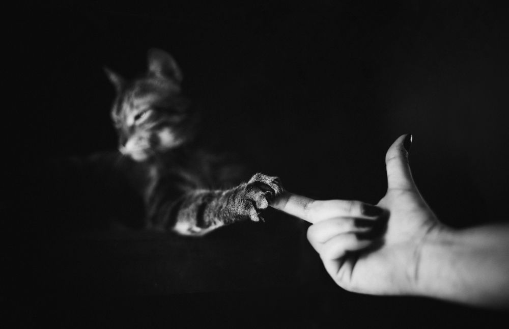 Photograph by Joanna Surman