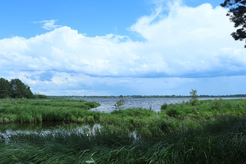 Photograph by Лидия Чугришина