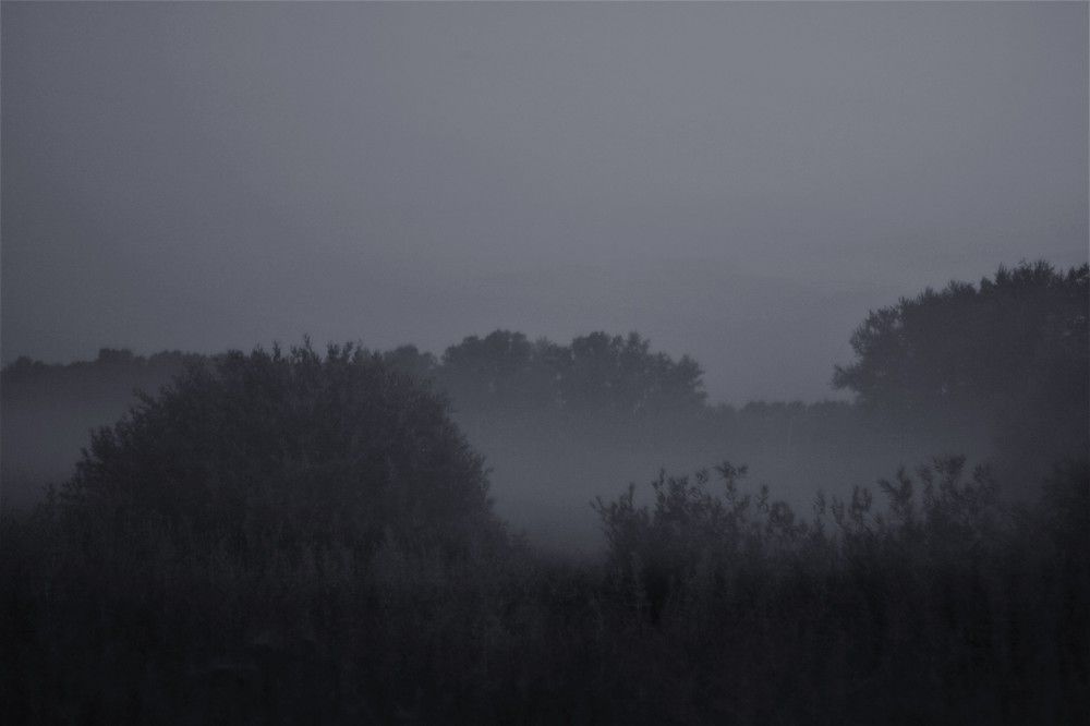 Photograph by Алина Никитина