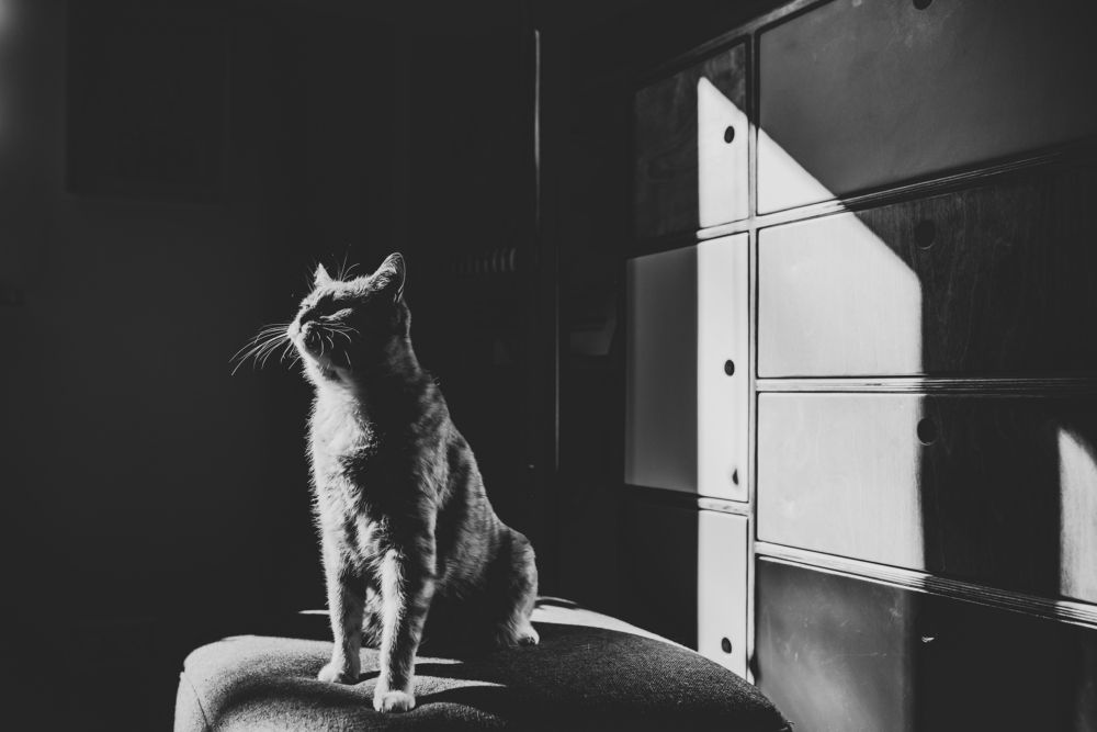 Photograph by Joanna Surman