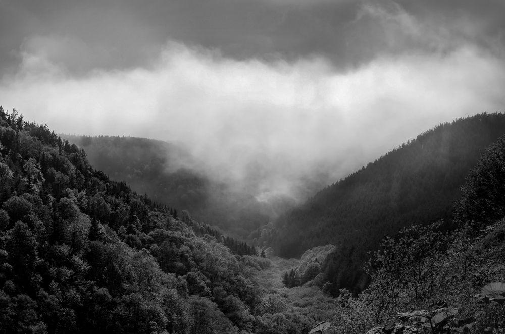 Photograph by Вероника Романенко