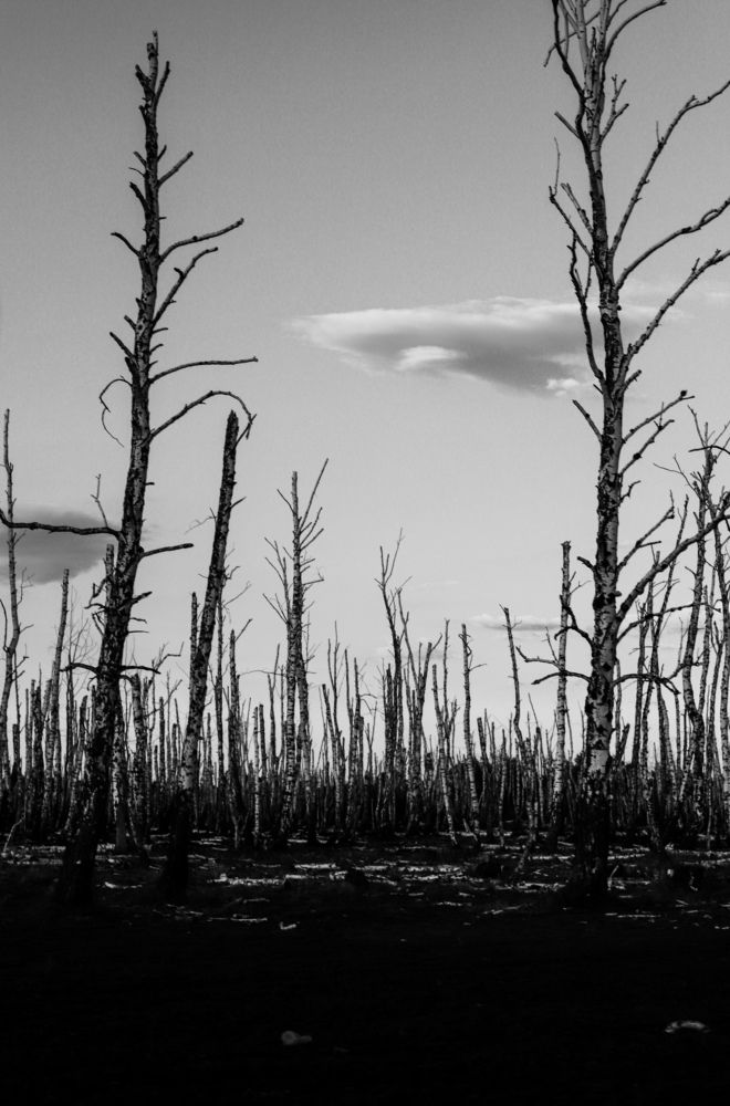 Photograph by Алёна Герк